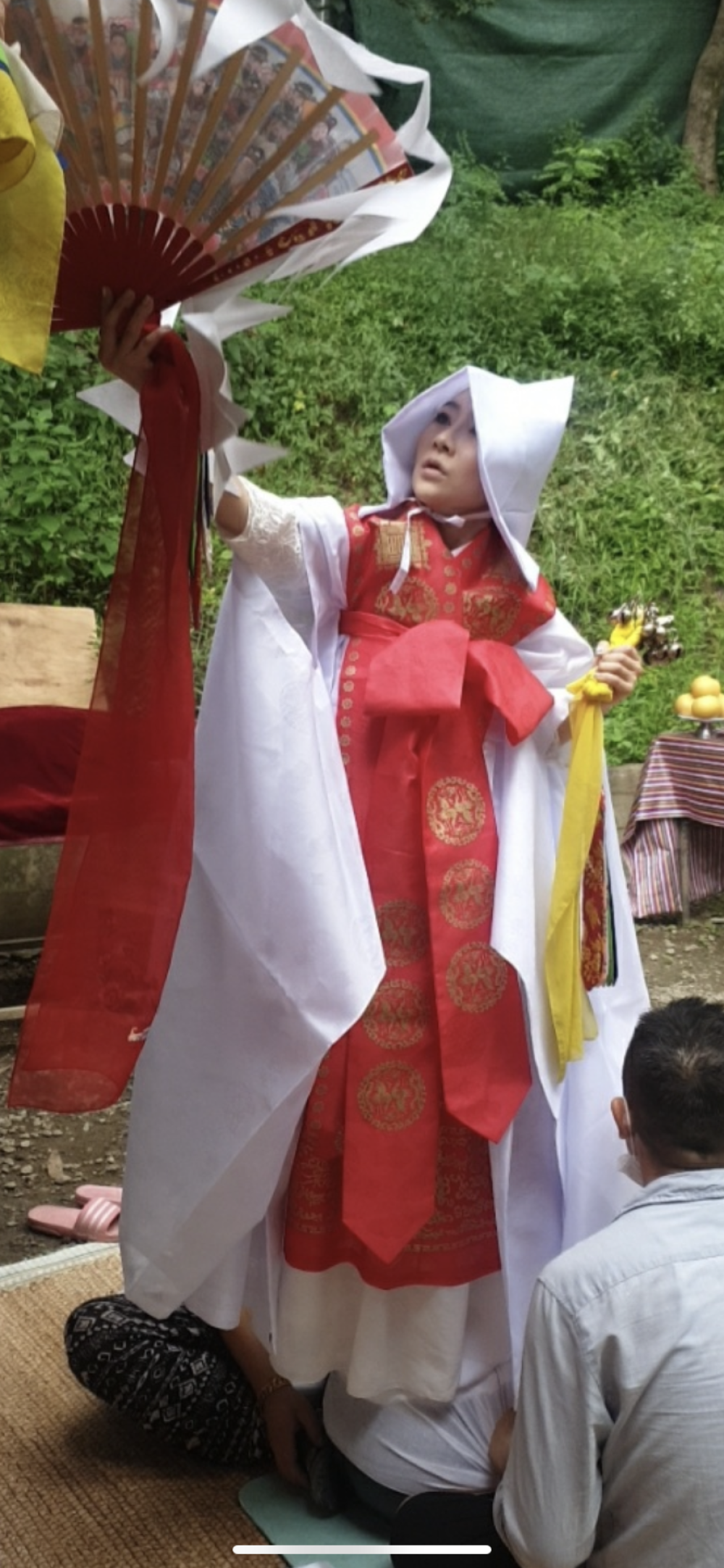 천신매화 사진 5