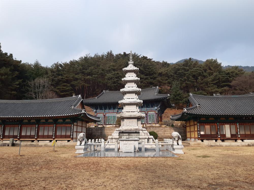 해수당 아씨 사진 3