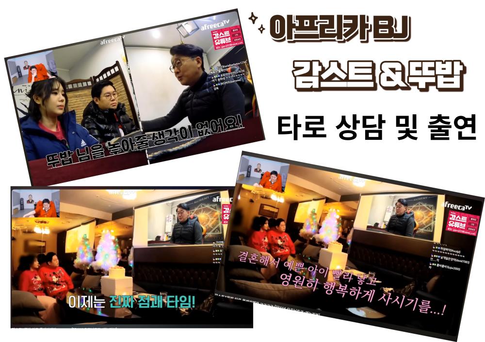 타로에게 길을 묻다 사진 3