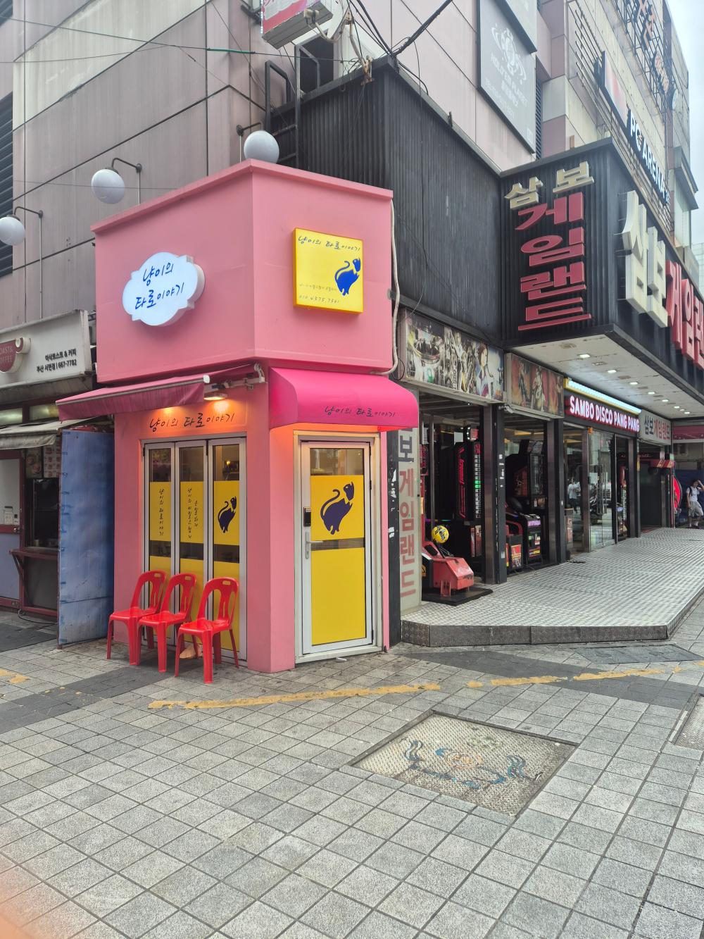 냥이의 타로 이야기 사진 4