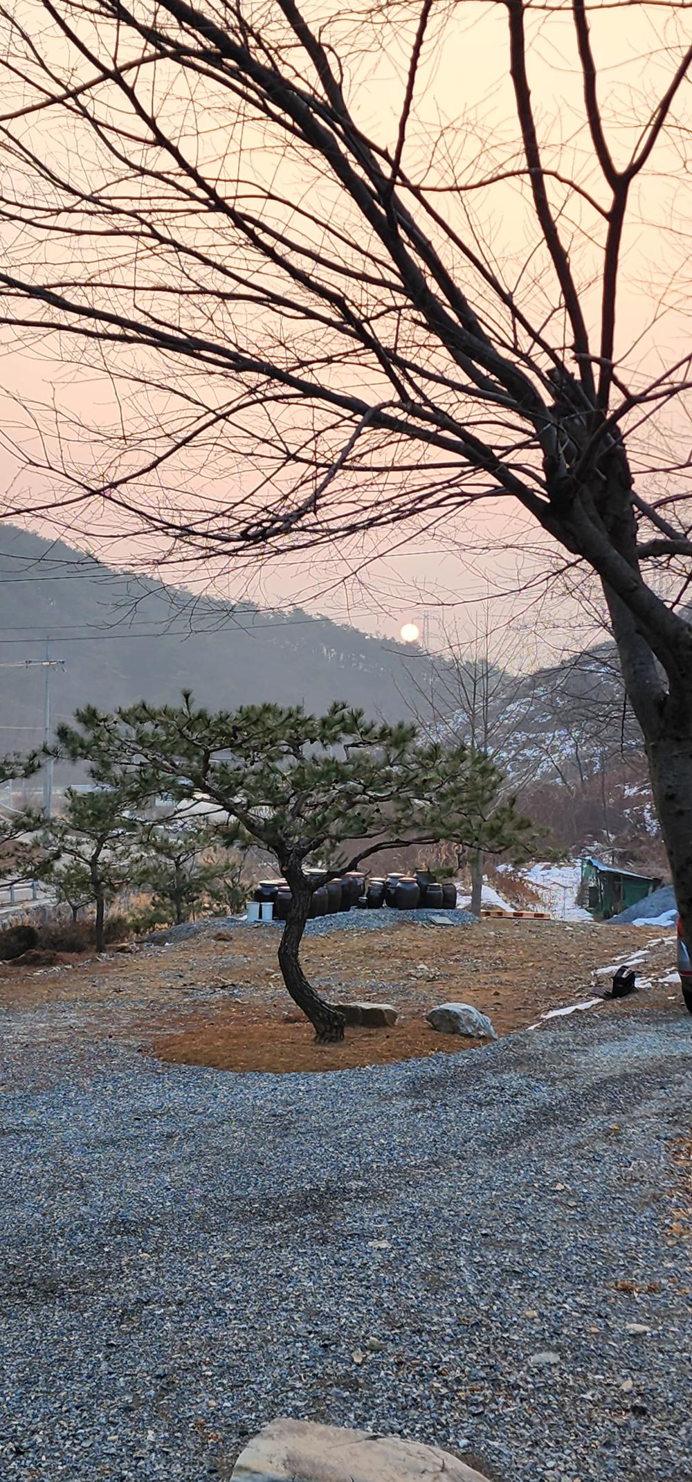 댕기보살 사진 3