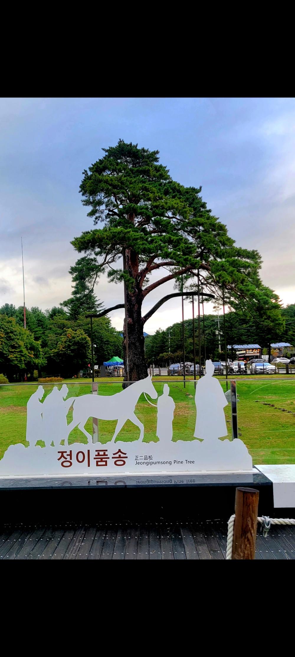해동궁 사진 6