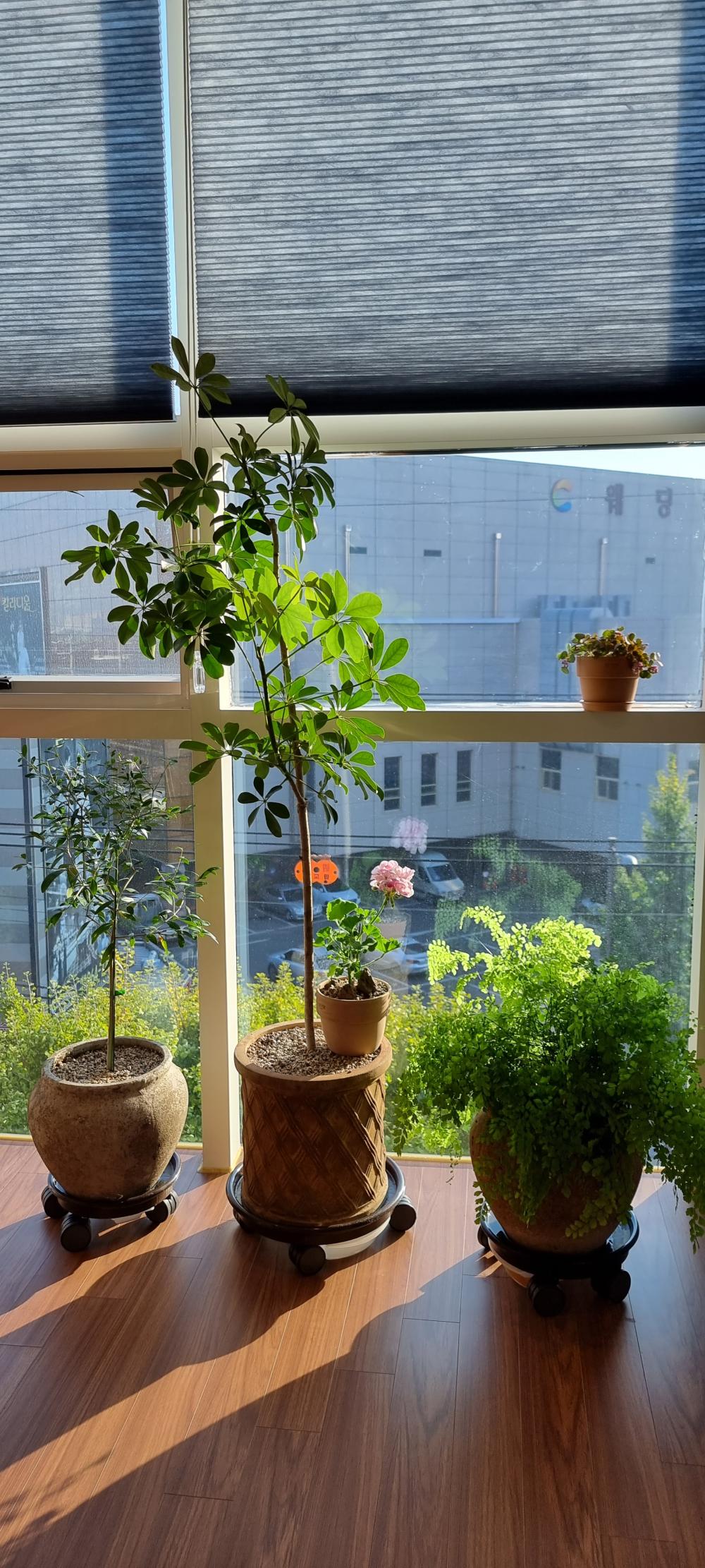 도원 철학관 사진 3