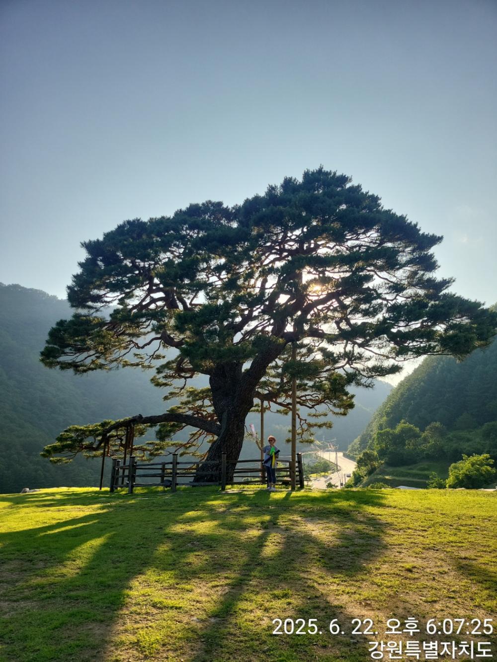 금빛 애월소선 사진 3