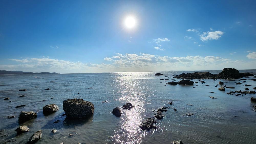 천신도령 사진 6