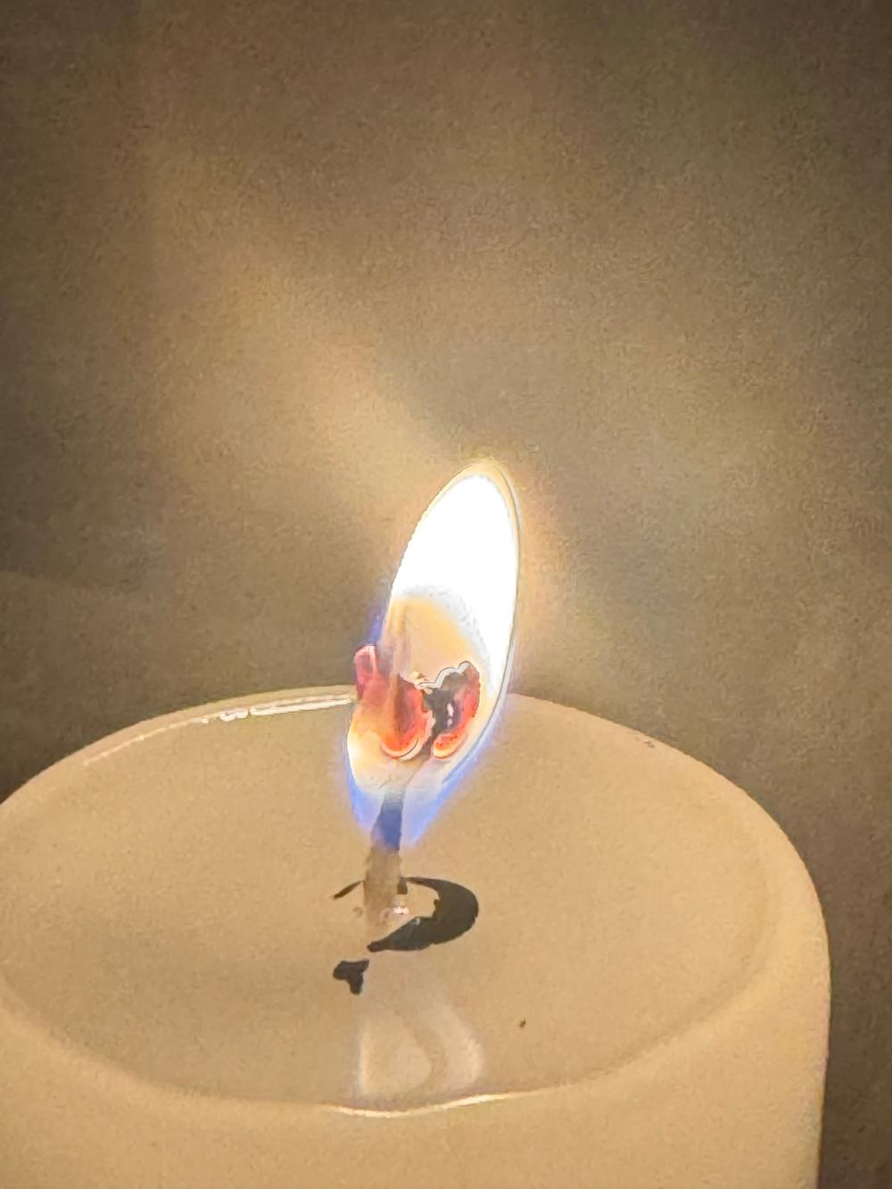 애동제자 명월당 전보살