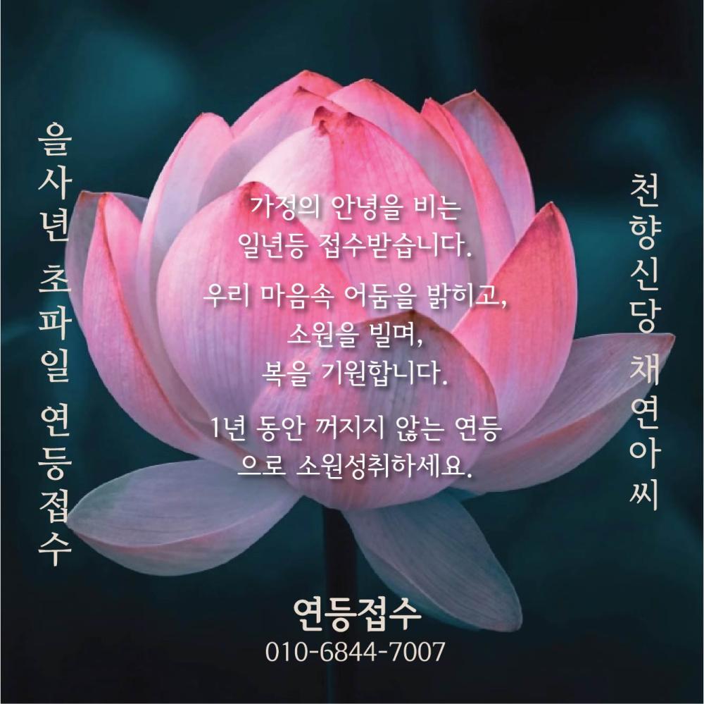채연아씨 사진 2
