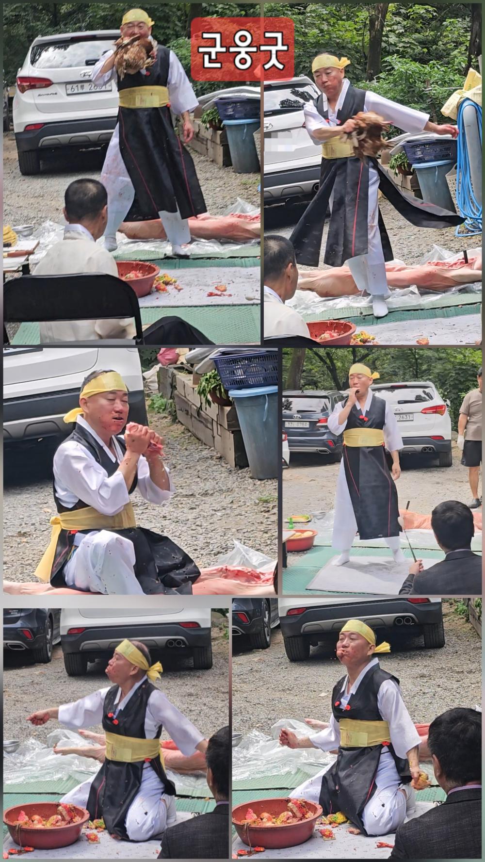 태백도령 사진 8