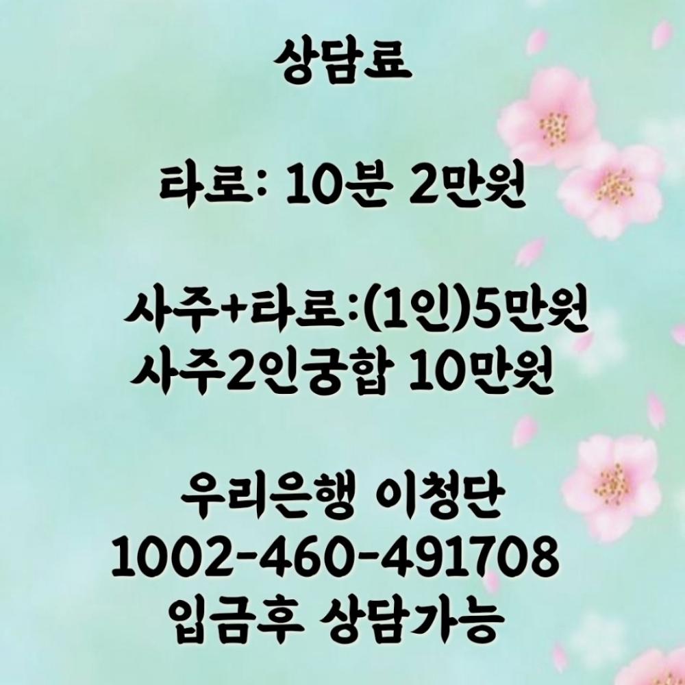 청단사주타로 사진 3