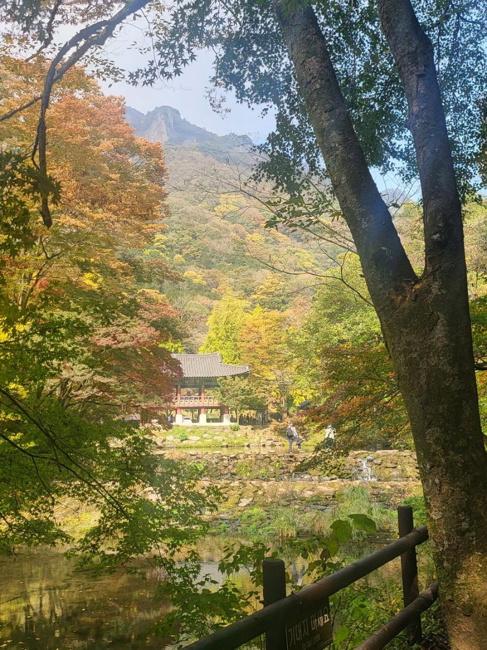 원화사 영지보살 사진 6