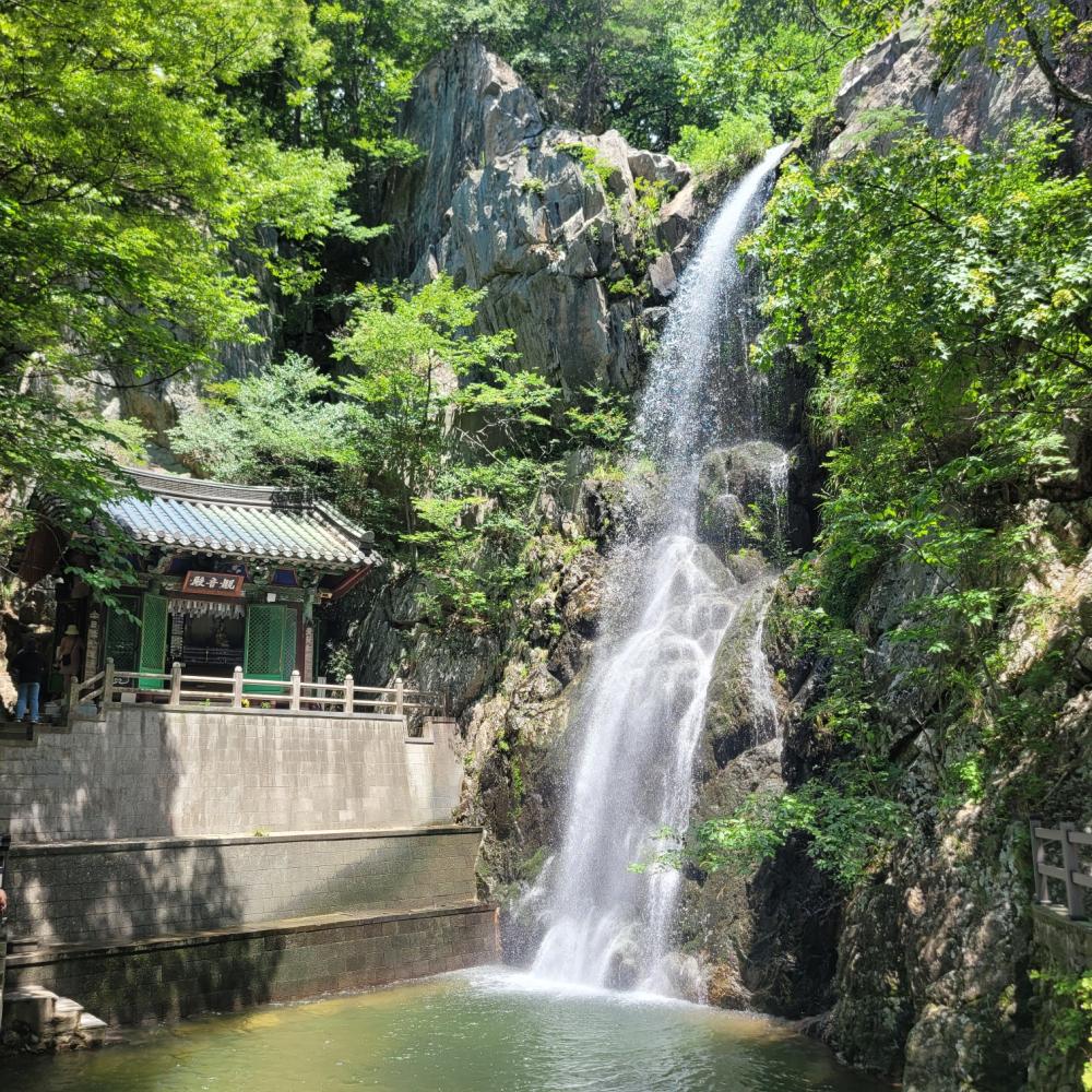 천신궁 꽃도령 사진 2