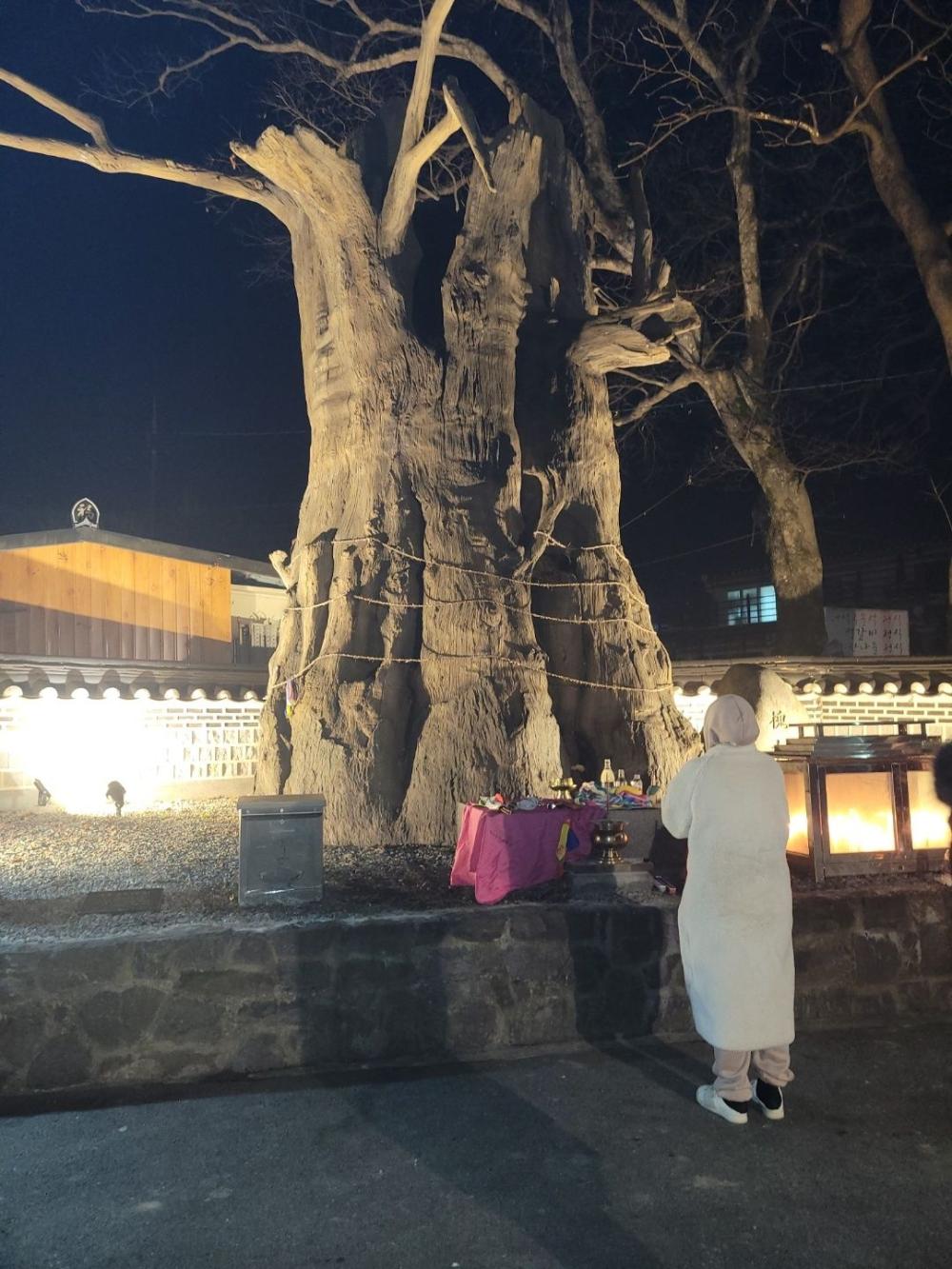 청명당 사진 2