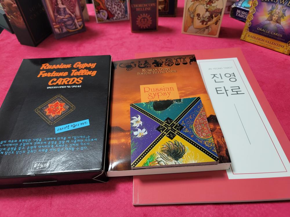 진영타로 사진 2