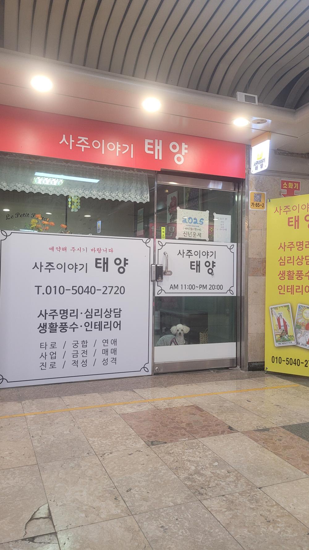 사주이야기 태양