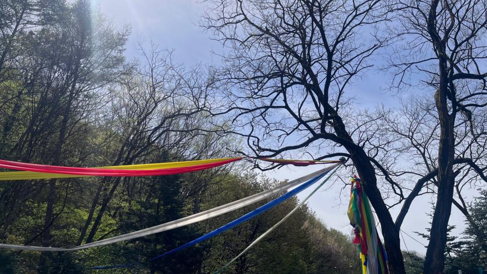 혜인당 혜인아씨 사진 3