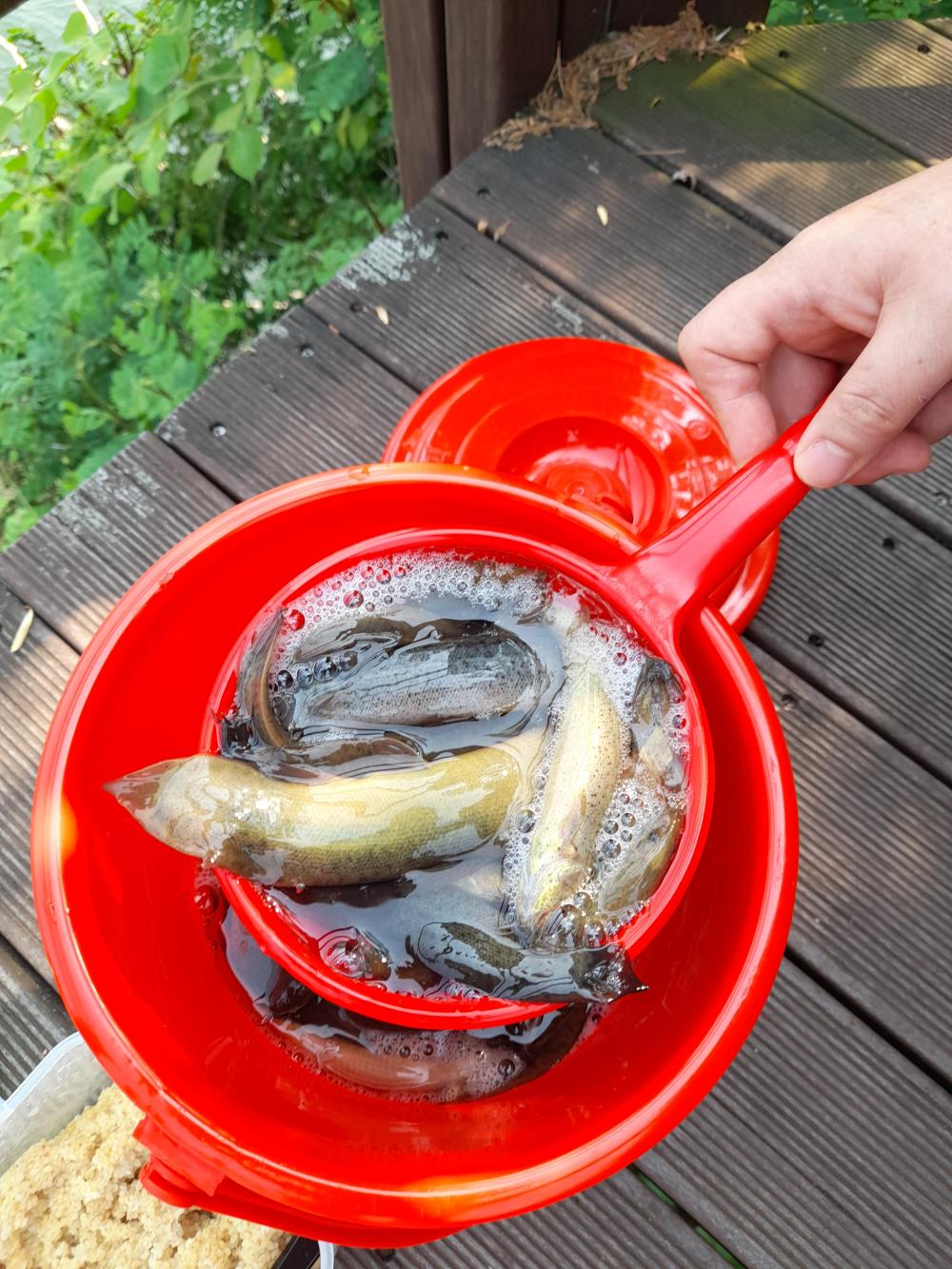 점집사진8