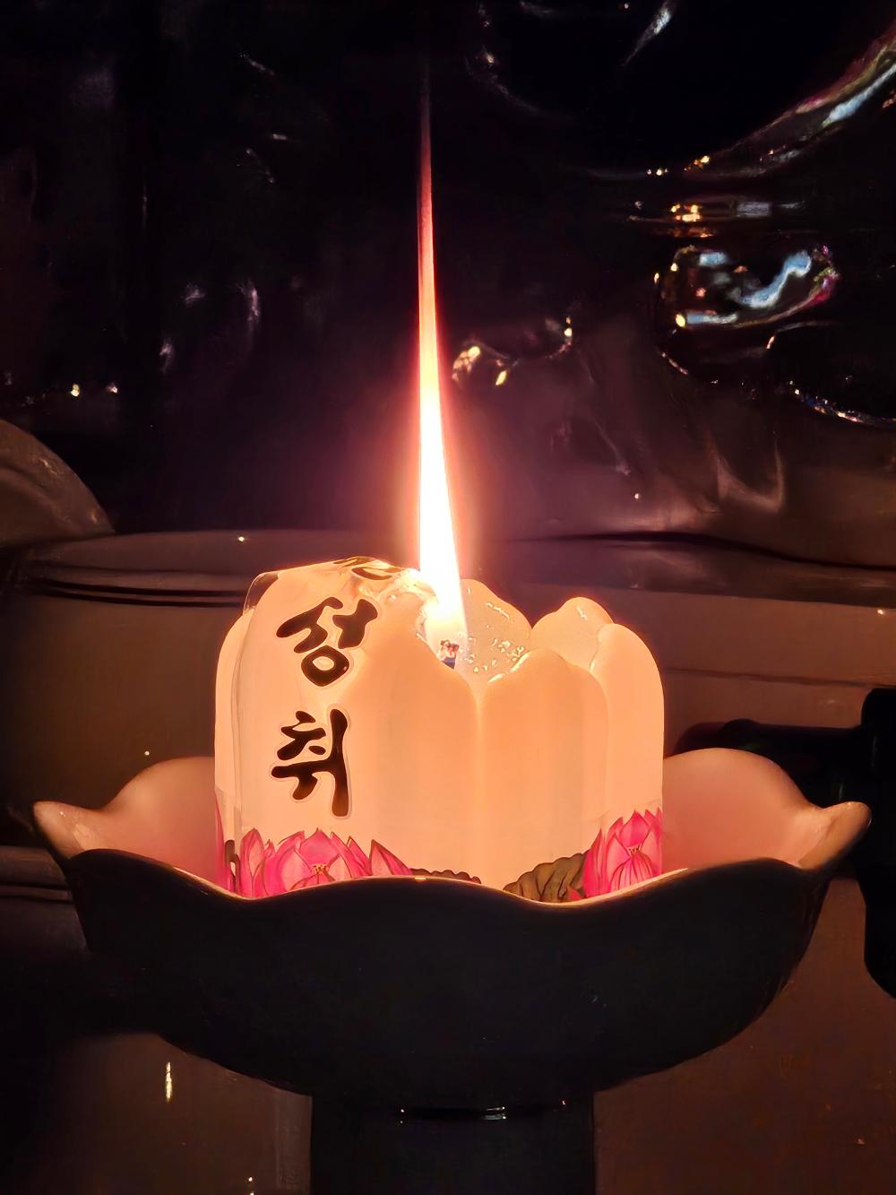 일월불사 월인보살 사진 4