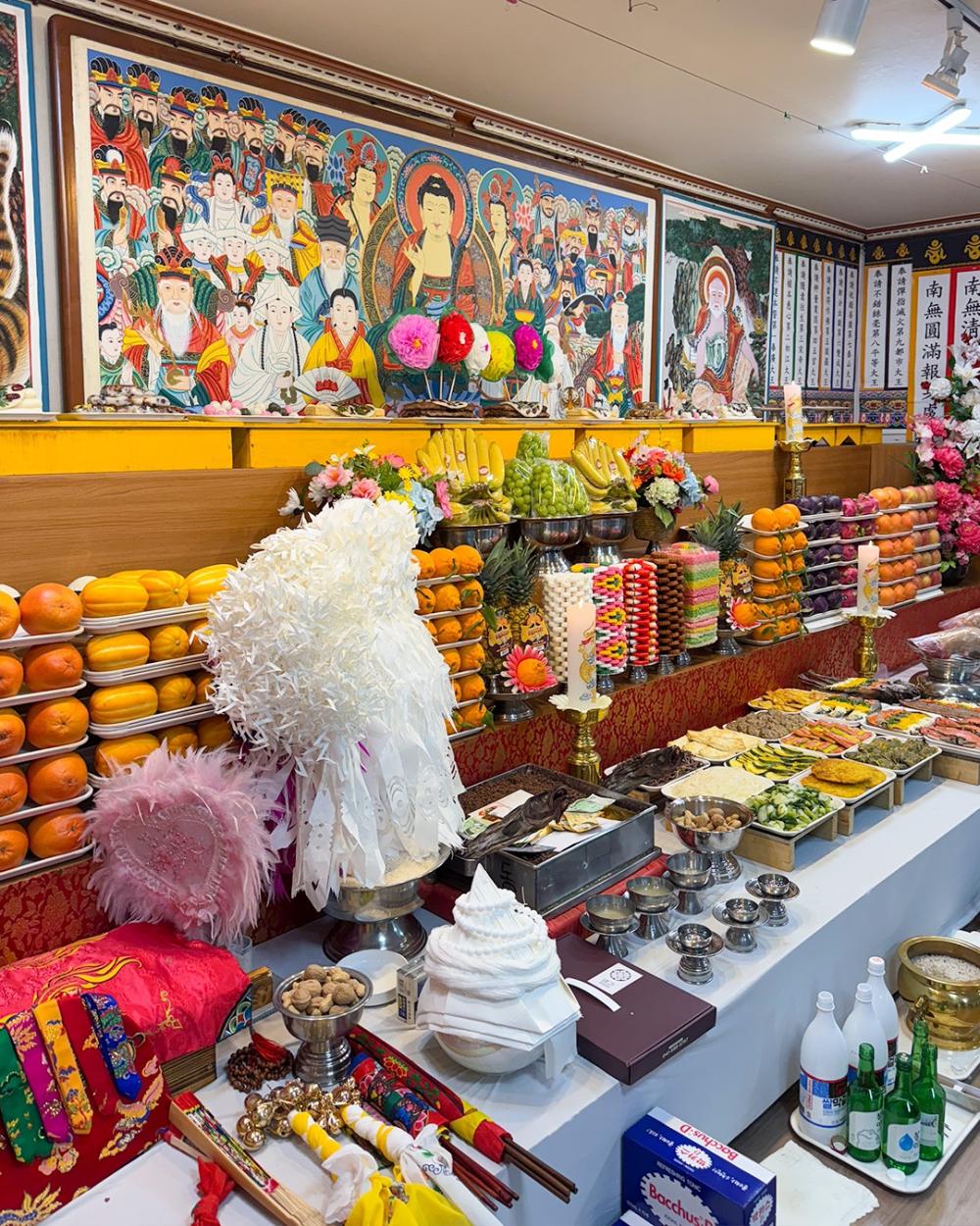 매화애기씨 사진 5