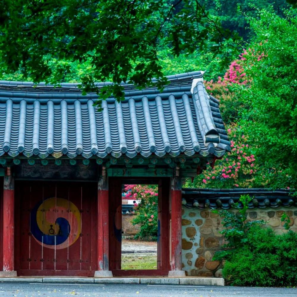 천계심보살 사진 6
