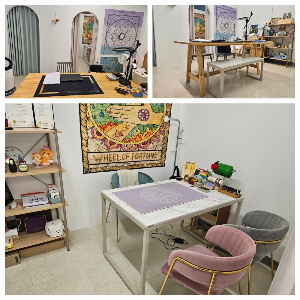 플로라사주타로 사진 6