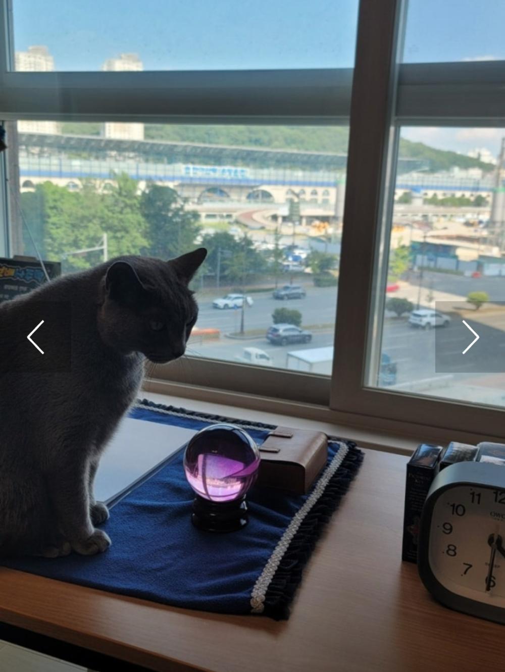 보배사주학 사진 3