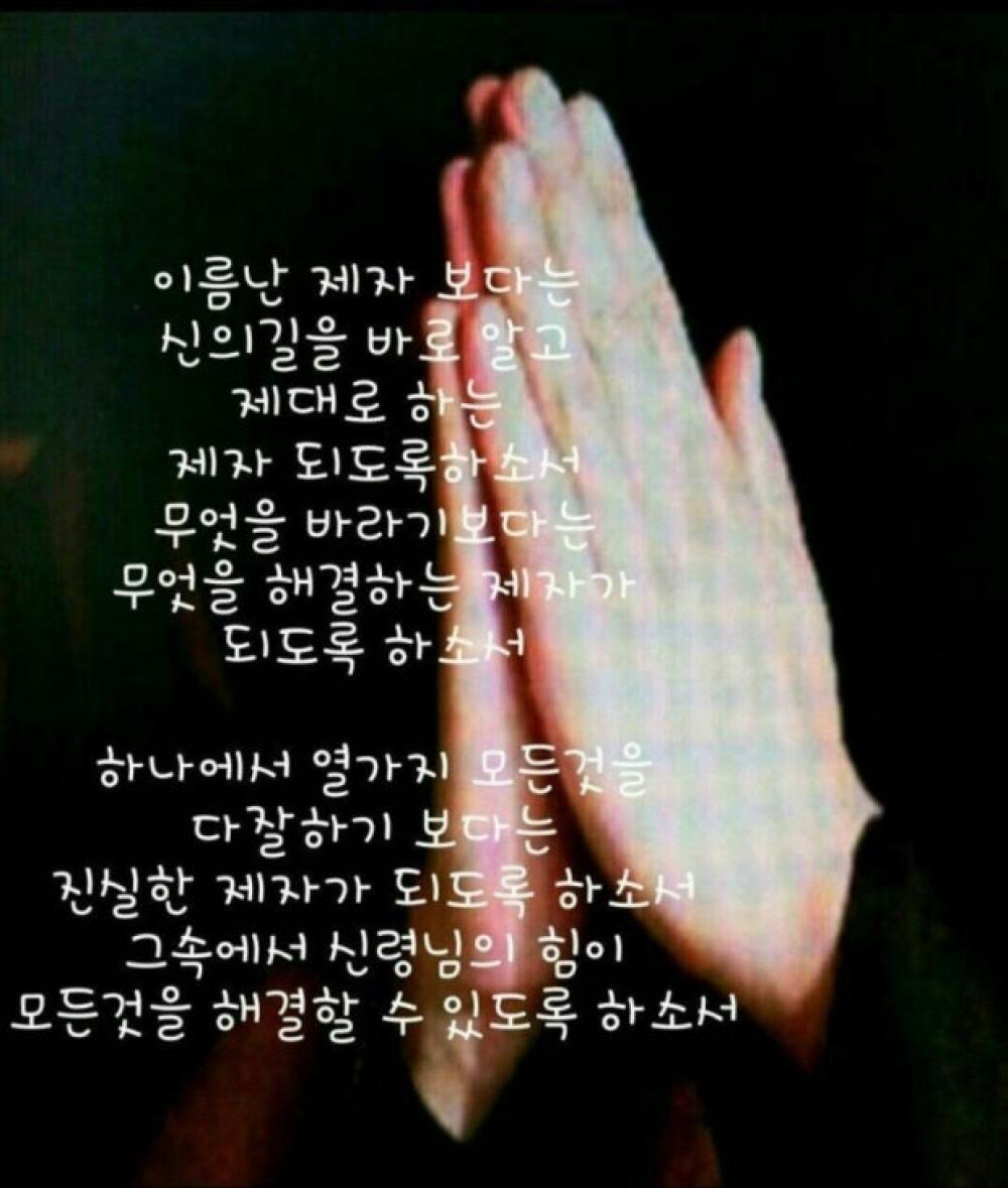 벼락동자 사진 4