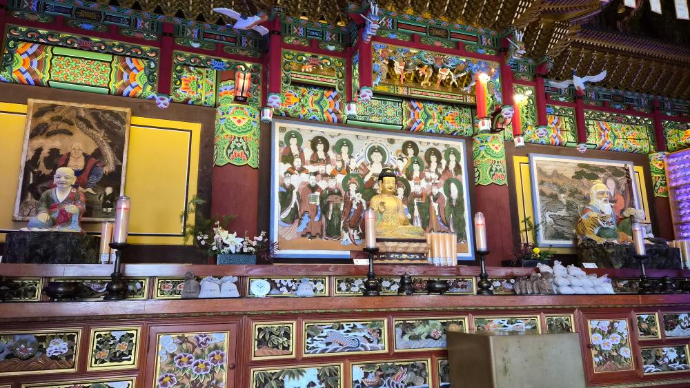 지니신타로 사진 6