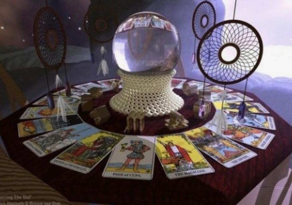 라임타로 사진 2