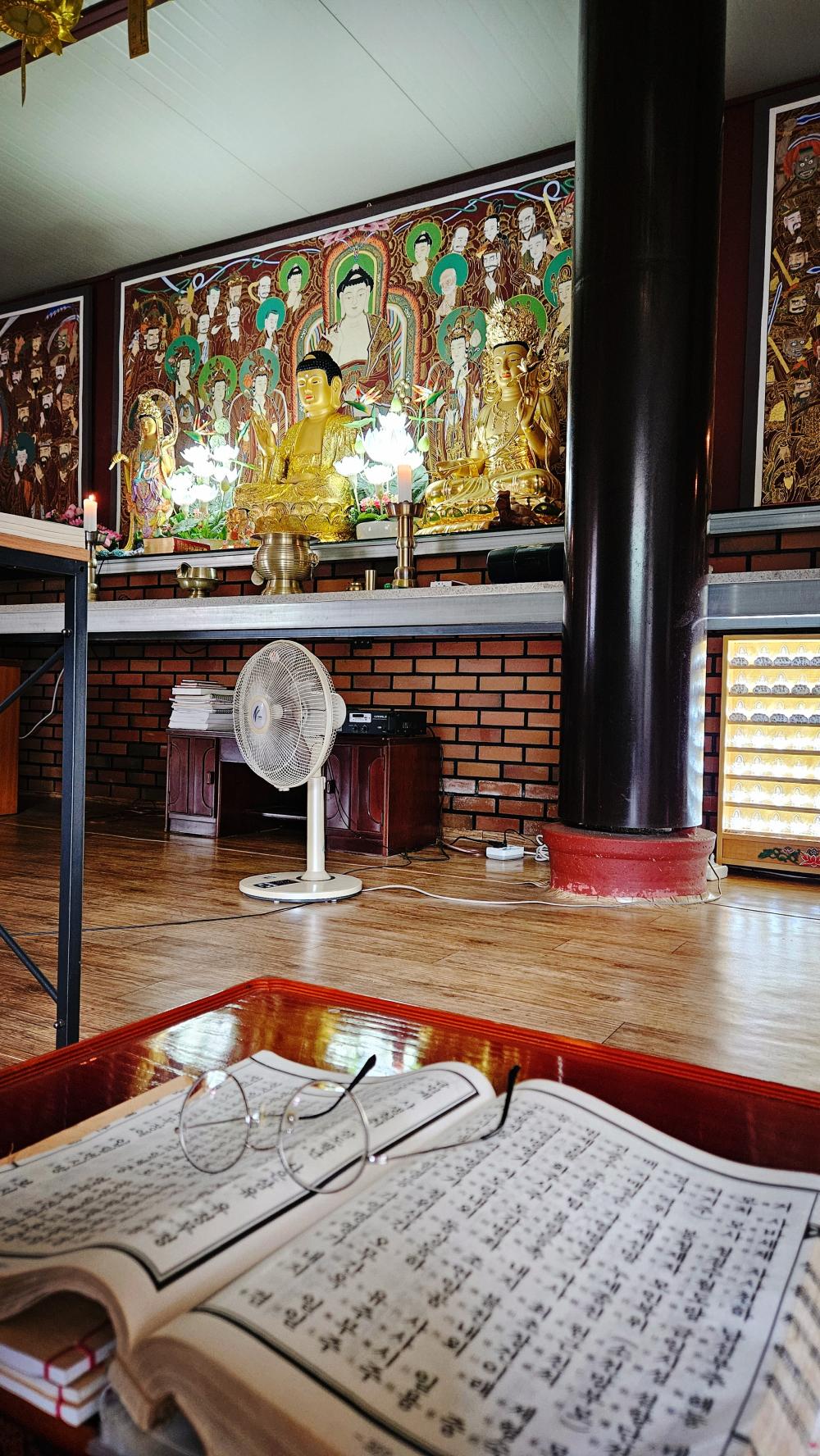 지니신타로 사진 8