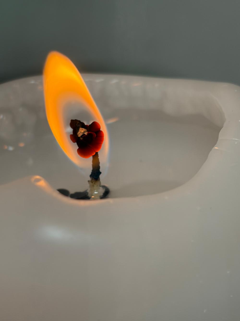 서연당 애기보살