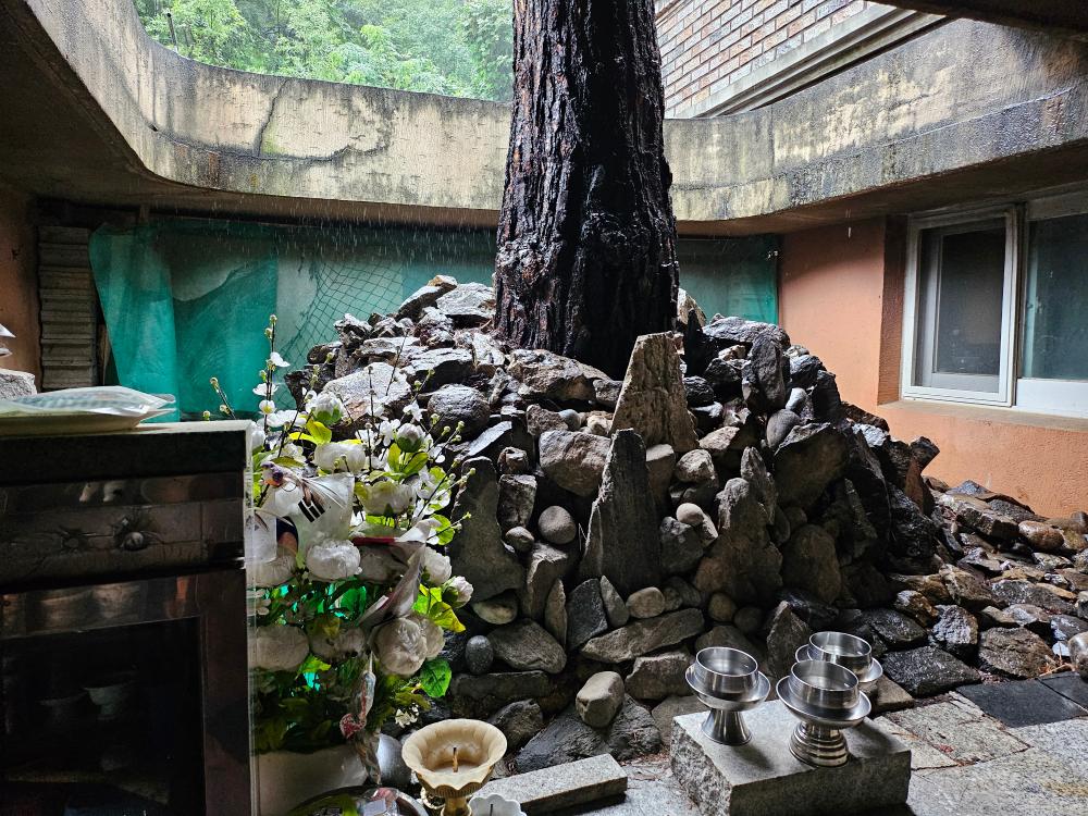 천명암 점집 사진 8