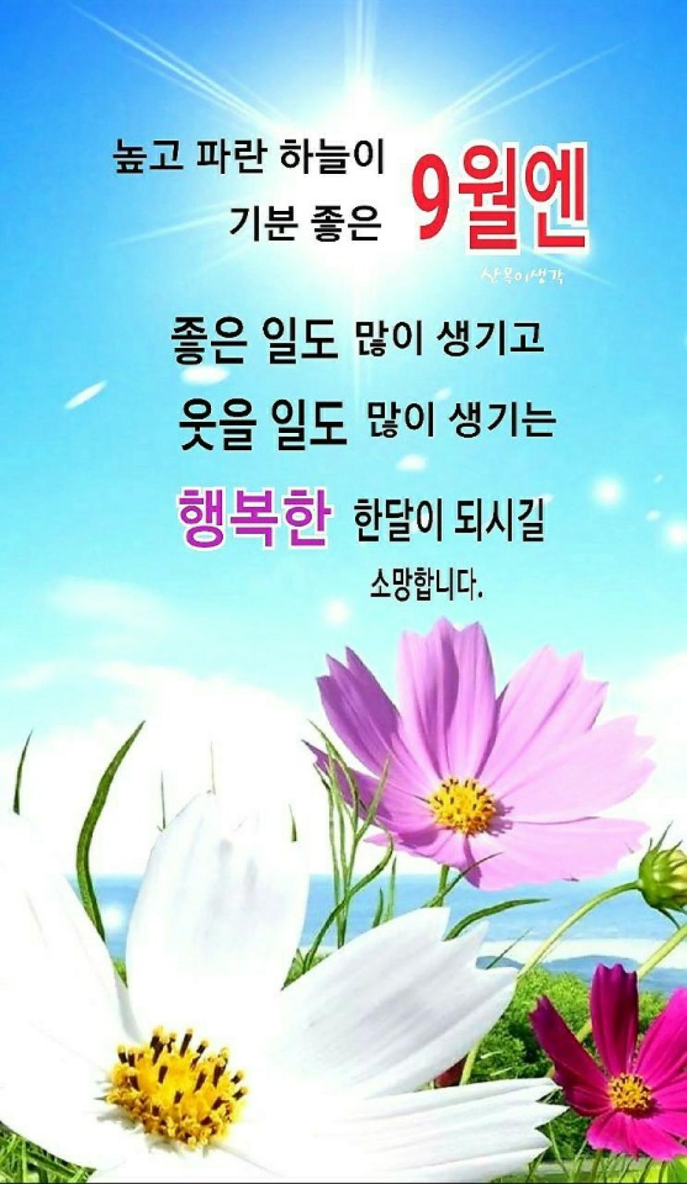 청단사주타로 사진 10