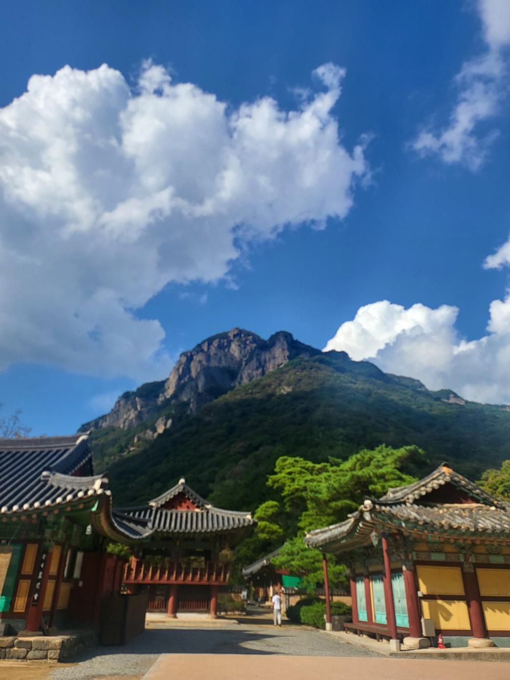 원화사 영지보살 사진 8