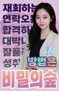 안동 비밀의 숲 타로