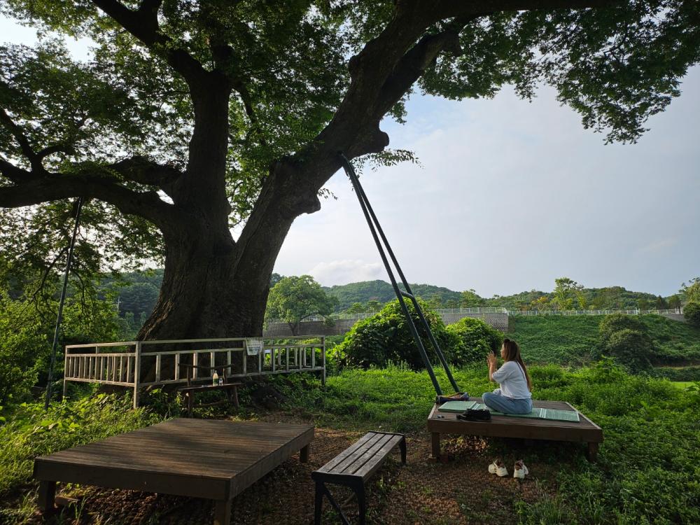 선녀대신 사진 8