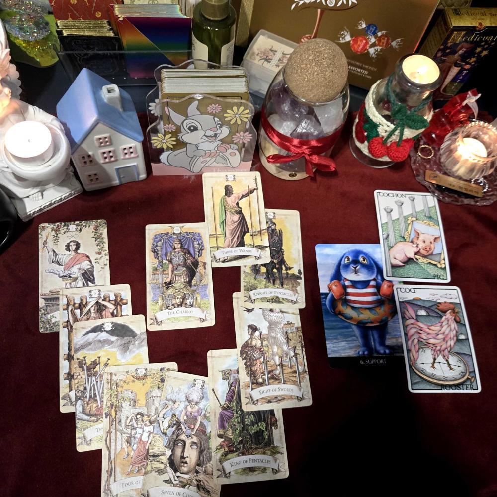 타로멘탈리스트 위빌리아 사진 9