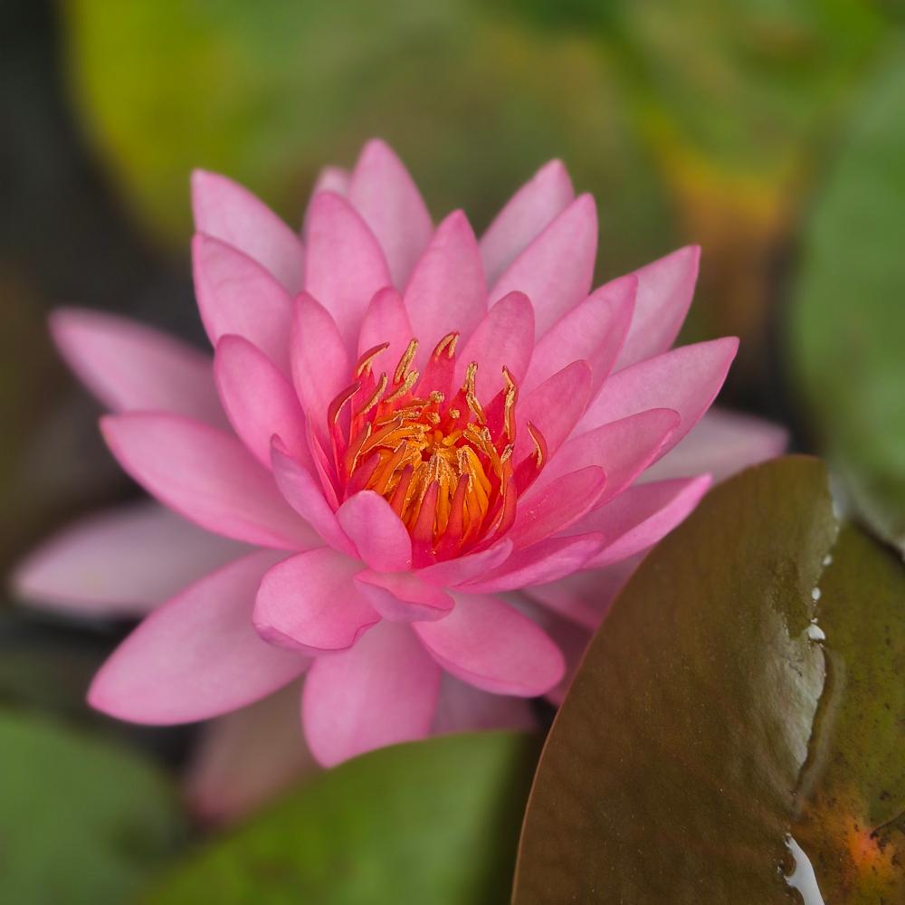 용신당 사진 5