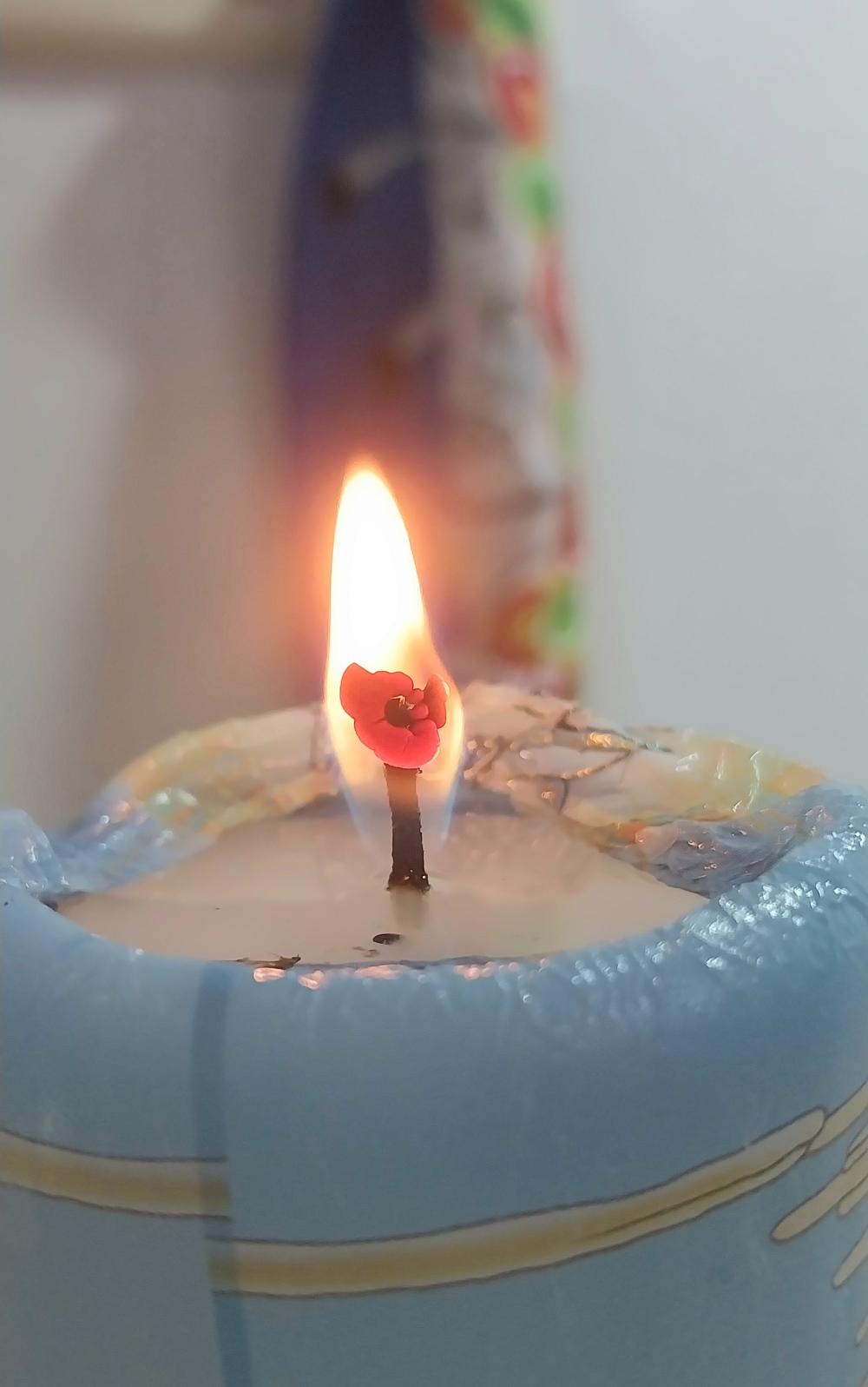 해화신궁 사진 5