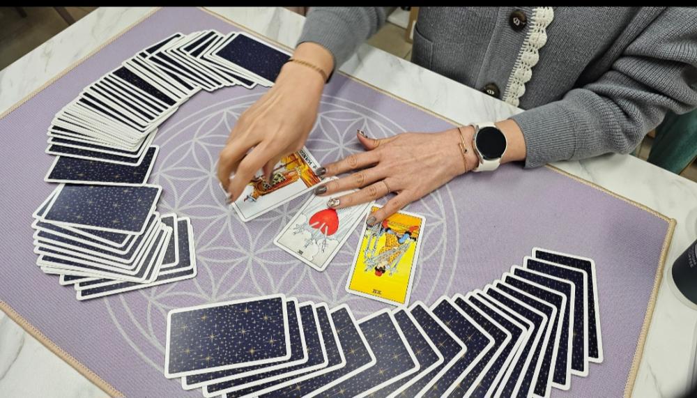 플로라사주타로 사진 3