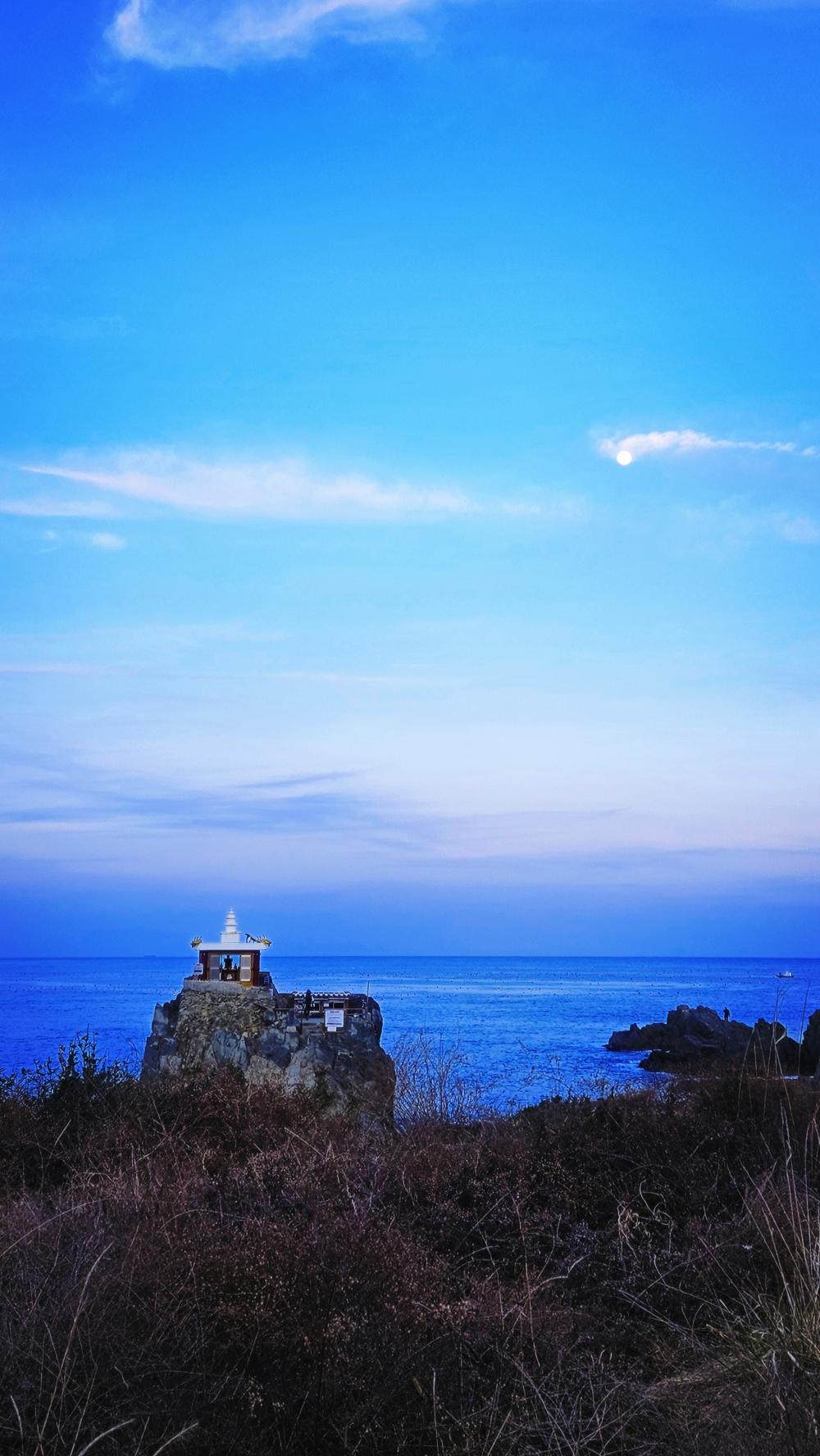 지니신타로 사진 9