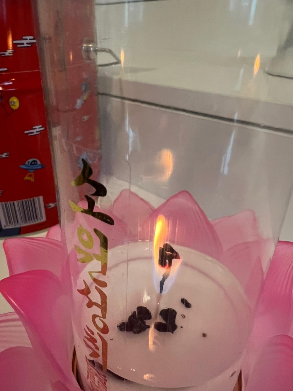 나비신당 사진 4
