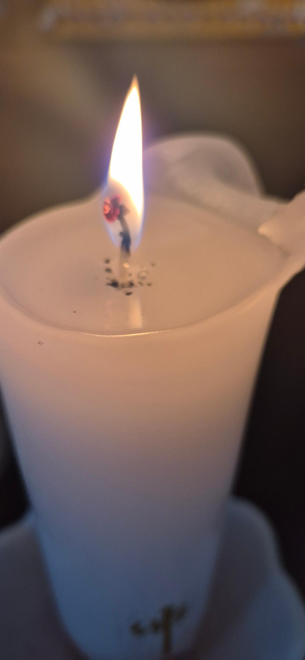 태백도령 사진 4