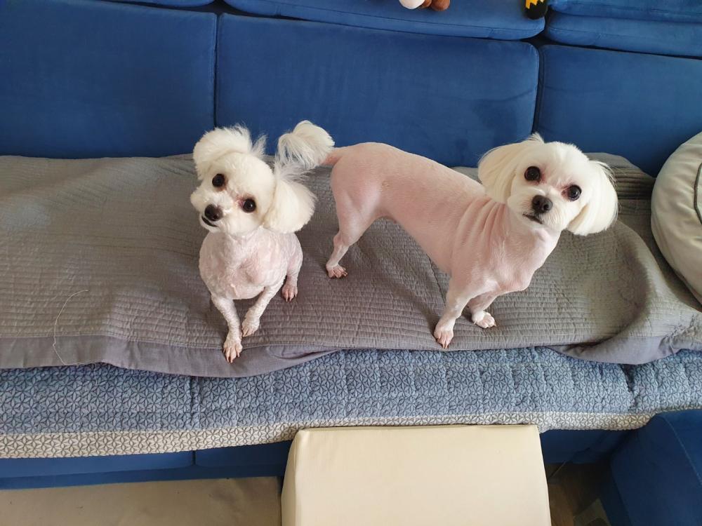 태극신녀 신점 사진 5