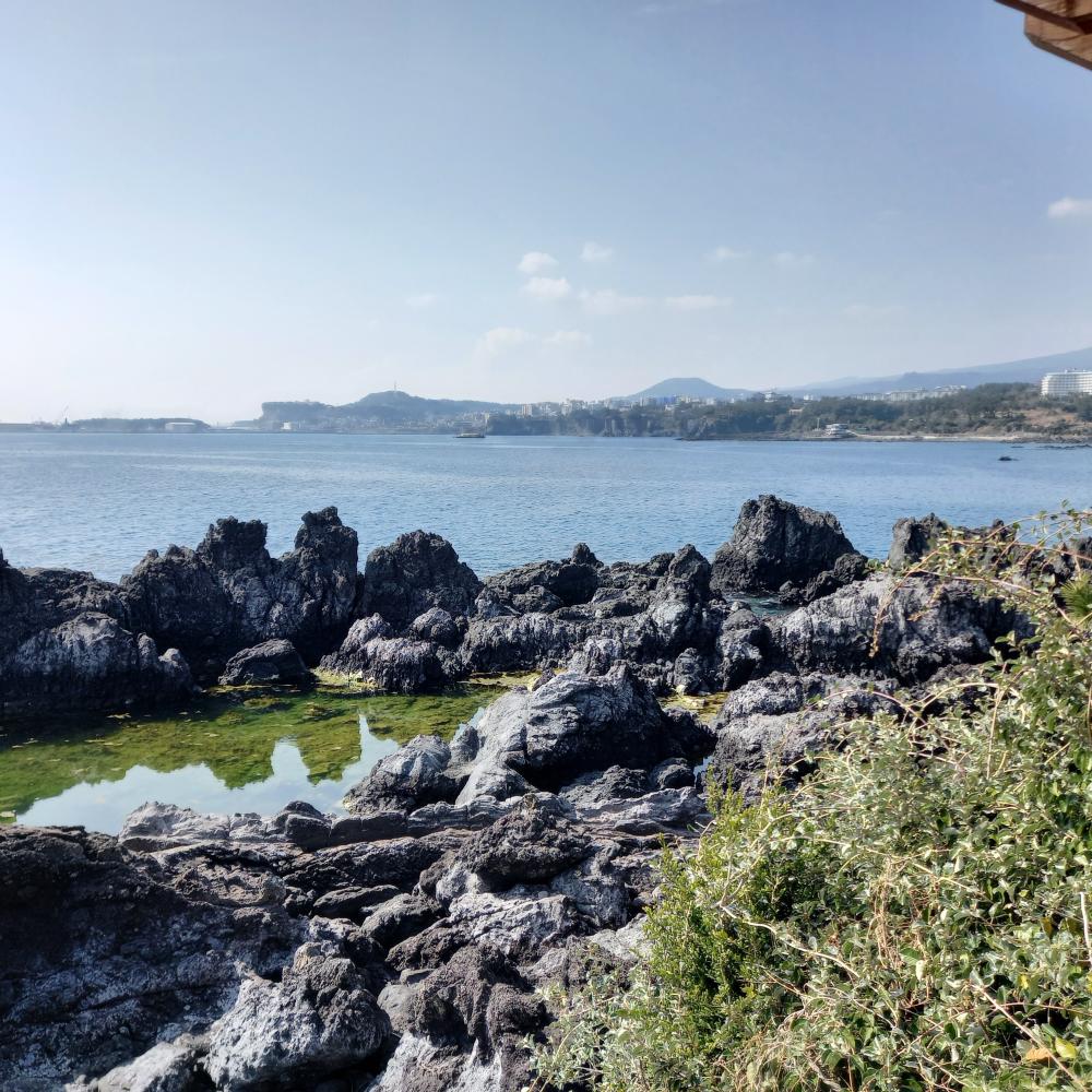 타로&파자 사진 4