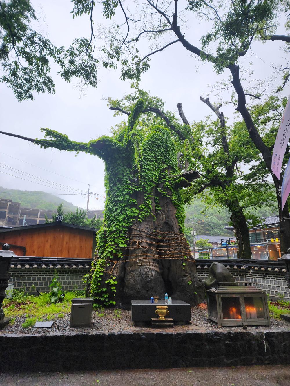 도운암설화보살 사진 5