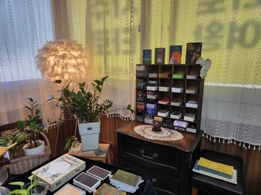 타로여왕 사진 3