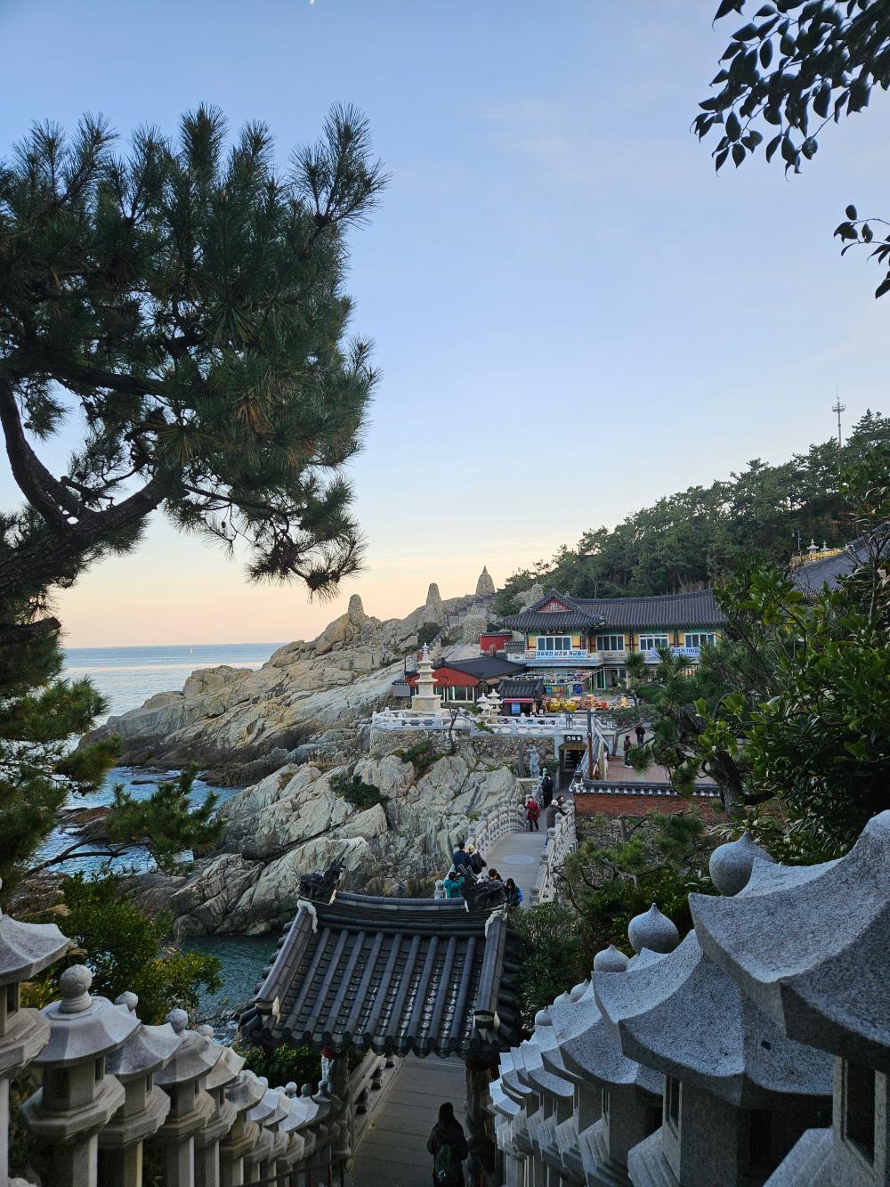 명월신녀 사진 7