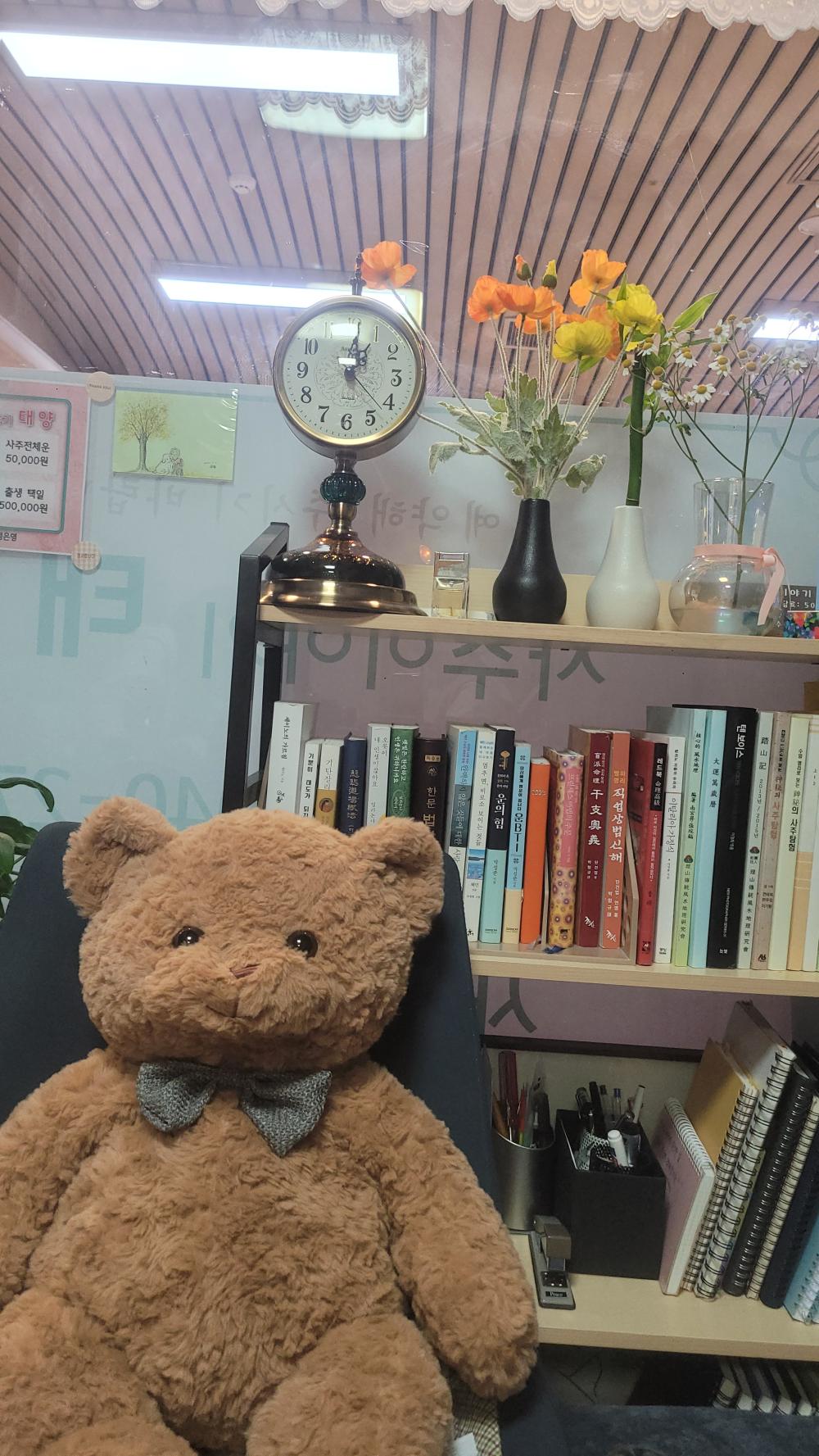 사주이야기 태양