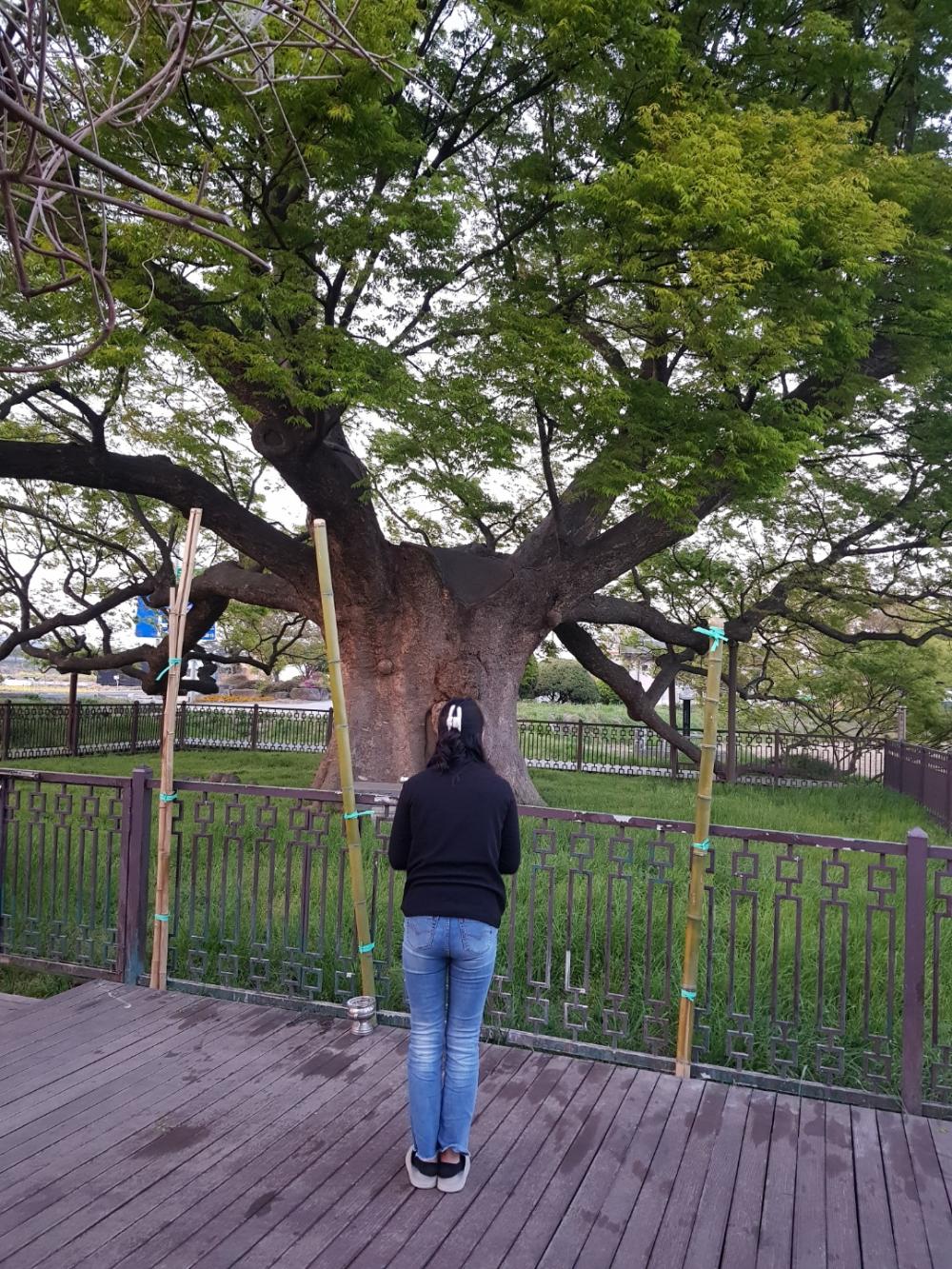 일월암(일월부인) 사진 4