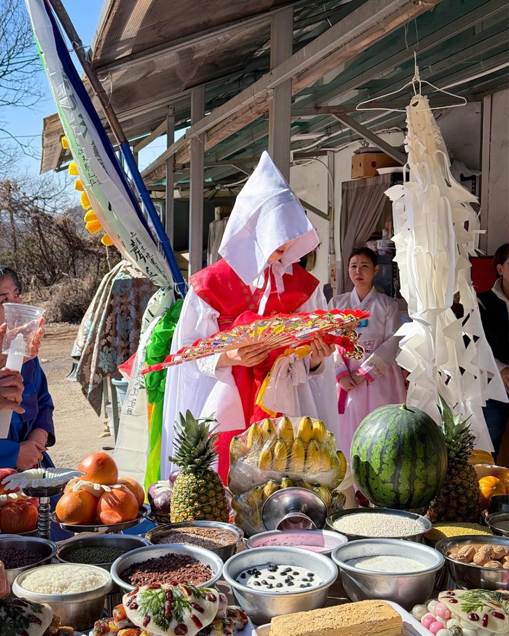 매화애기씨 사진 6